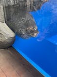 上越市立水族博物館 うみがたりに投稿された画像（2022/8/14）