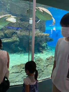 名古屋港水族館に投稿された画像（2022/8/14）