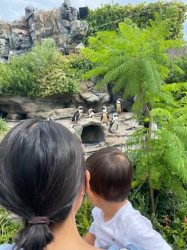 サンシャイン水族館に投稿された画像（2022/8/14）