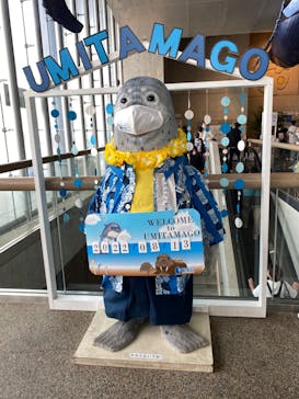 大分マリーンパレス水族館 「うみたまご」に投稿された画像（2022/8/14）