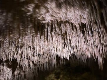 おきなわワールドに投稿された画像（2022/8/14）