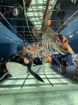 名古屋港水族館に投稿された画像（2022/8/14）