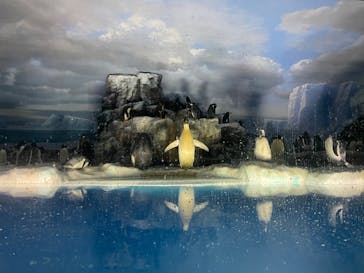 名古屋港水族館に投稿された画像（2022/8/14）
