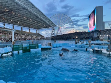 名古屋港水族館に投稿された画像（2022/8/14）