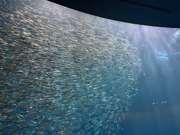 名古屋港水族館に投稿された画像（2022/8/14）
