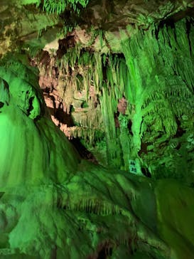 あぶくま洞に投稿された画像（2022/8/14）