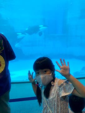 名古屋港水族館に投稿された画像（2022/8/14）