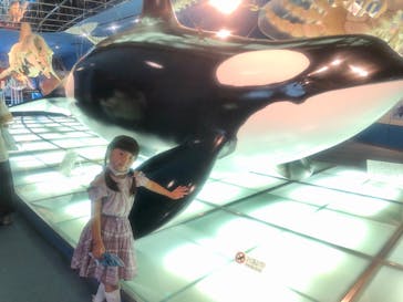 名古屋港水族館に投稿された画像（2022/8/14）