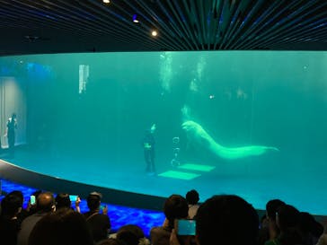 島根県立 しまね海洋館に投稿された画像（2022/8/14）