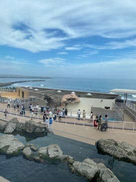 アクアワールド茨城県大洗水族館に投稿された画像（2022/8/14）