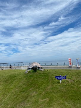 アクアワールド茨城県大洗水族館に投稿された画像（2022/8/14）