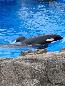 名古屋港水族館に投稿された画像（2022/8/14）