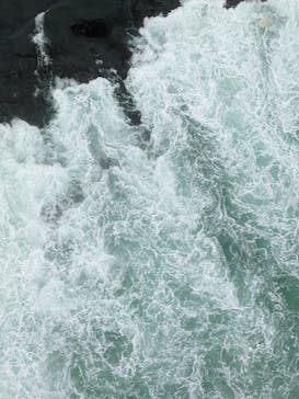 徳島県立 渦の道に投稿された画像（2022/8/14）