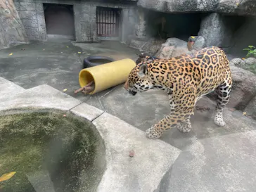 天王寺動物園に投稿された画像（2022/8/14）