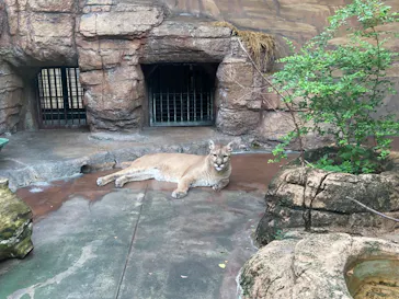 天王寺動物園に投稿された画像（2022/8/14）