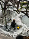 のぼりべつクマ牧場に投稿された画像（2022/8/14）