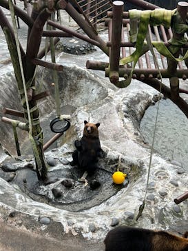 のぼりべつクマ牧場に投稿された画像（2022/8/14）