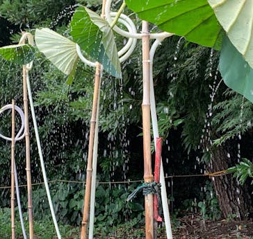 三溪園に投稿された画像（2022/8/14）