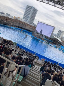 名古屋港水族館に投稿された画像（2022/8/14）