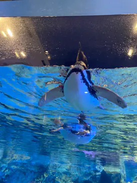 すみだ水族館に投稿された画像（2022/8/14）