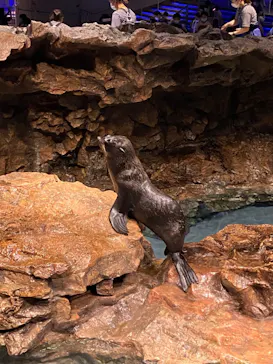 すみだ水族館に投稿された画像（2022/8/14）