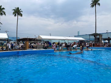 南知多ビーチランド＆南知多おもちゃ王国に投稿された画像（2022/8/14）