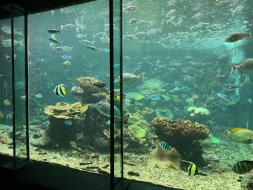 串本海中公園水族館に投稿された画像（2022/8/14）