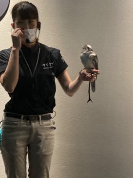 カワスイ 川崎⽔族館に投稿された画像（2022/8/14）