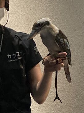 カワスイ 川崎⽔族館に投稿された画像（2022/8/14）