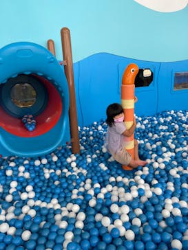 伊豆・三津シーパラダイスに投稿された画像（2022/8/14）