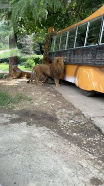 群馬サファリパークに投稿された画像（2022/8/14）