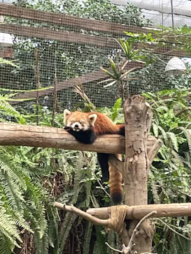 神戸どうぶつ王国に投稿された画像（2022/8/14）