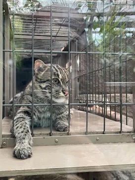 神戸どうぶつ王国に投稿された画像（2022/8/14）