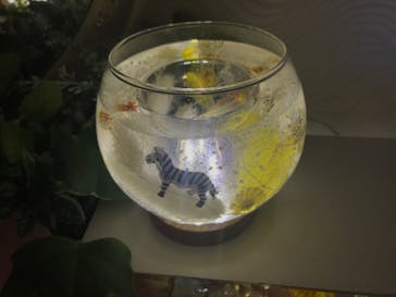 ずこうしつ〜sugamo〜に投稿された画像（2022/8/14）