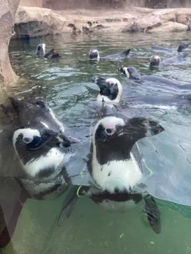 神戸どうぶつ王国に投稿された画像（2022/8/14）