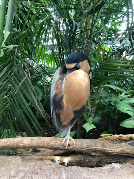 神戸どうぶつ王国に投稿された画像（2022/8/14）