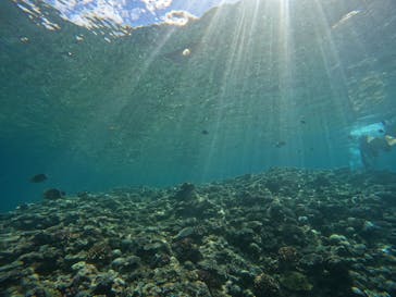 青の洞窟専門店　沖縄ダイビングショップ和に投稿された画像（2022/8/14）