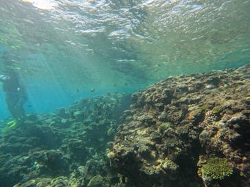 青の洞窟専門店　沖縄ダイビングショップ和に投稿された画像（2022/8/14）