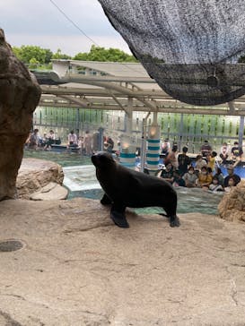 京都水族館に投稿された画像（2022/8/14）