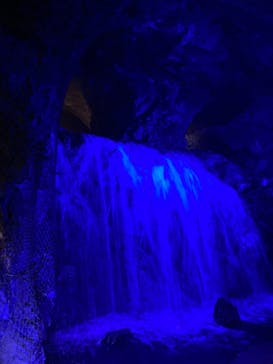 地底王国「美川ムーバレー」に投稿された画像（2022/8/14）