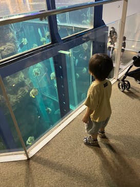 城崎マリンワールドに投稿された画像（2022/8/14）