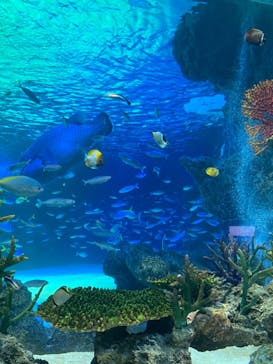 サンシャイン水族館に投稿された画像（2022/8/14）