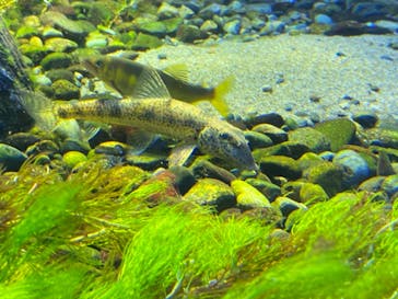 サンシャイン水族館に投稿された画像（2022/8/14）