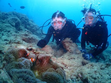 ダイブロックに投稿された画像（2022/8/14）