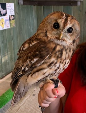 ふくろうマジックに投稿された画像（2022/8/14）