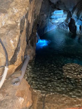 あぶくま洞に投稿された画像（2022/8/14）