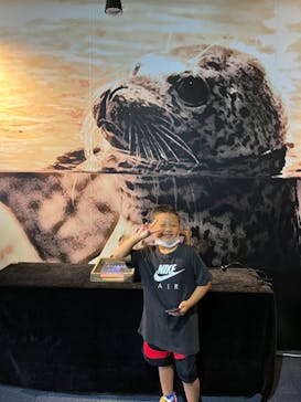 新江ノ島水族館に投稿された画像（2022/8/14）