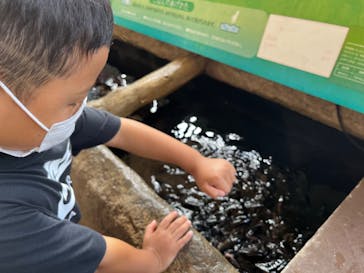 新江ノ島水族館に投稿された画像（2022/8/14）