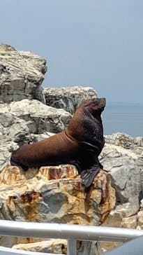 大分マリーンパレス水族館 「うみたまご」に投稿された画像（2022/8/14）
