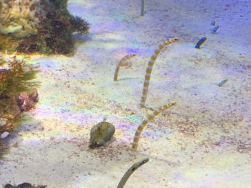 名古屋港水族館に投稿された画像（2022/8/14）